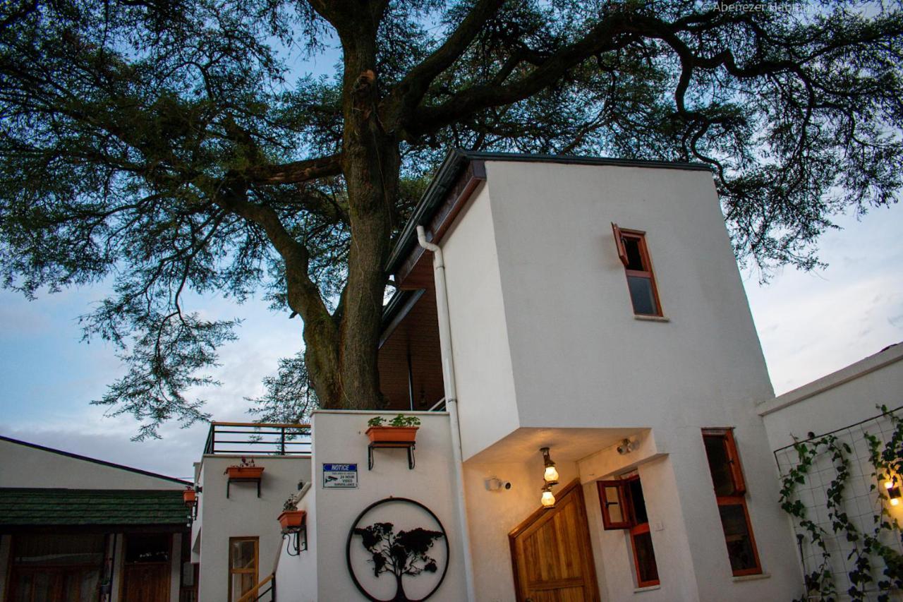 Choice Guest House 2 Addis Ababa Dış mekan fotoğraf